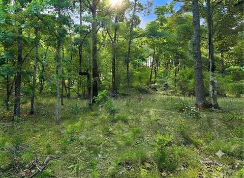LAND - Broken Bow, OK