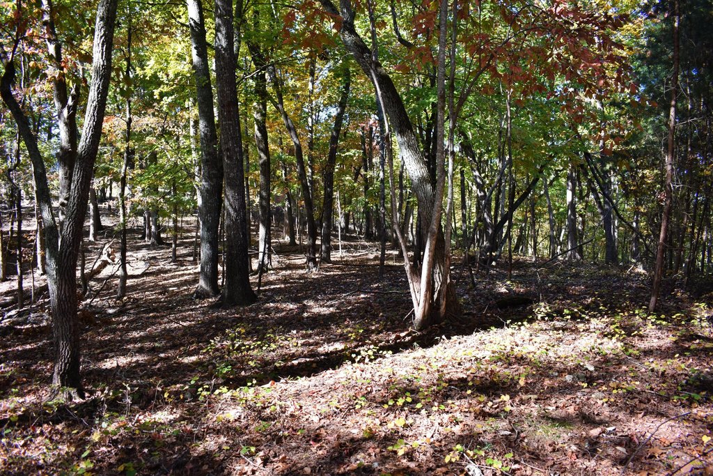 Picture 6