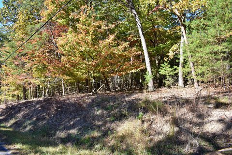 Land, Spring City, TN