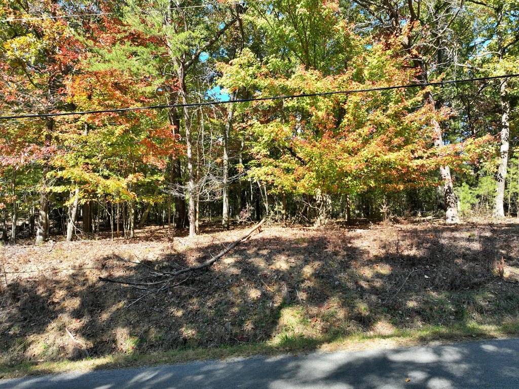 Picture 23