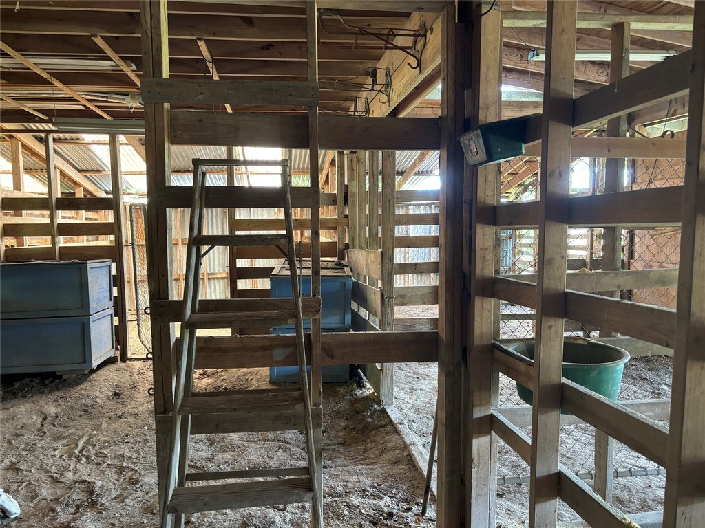 Picture 21