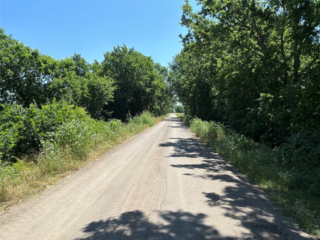 Picture 22