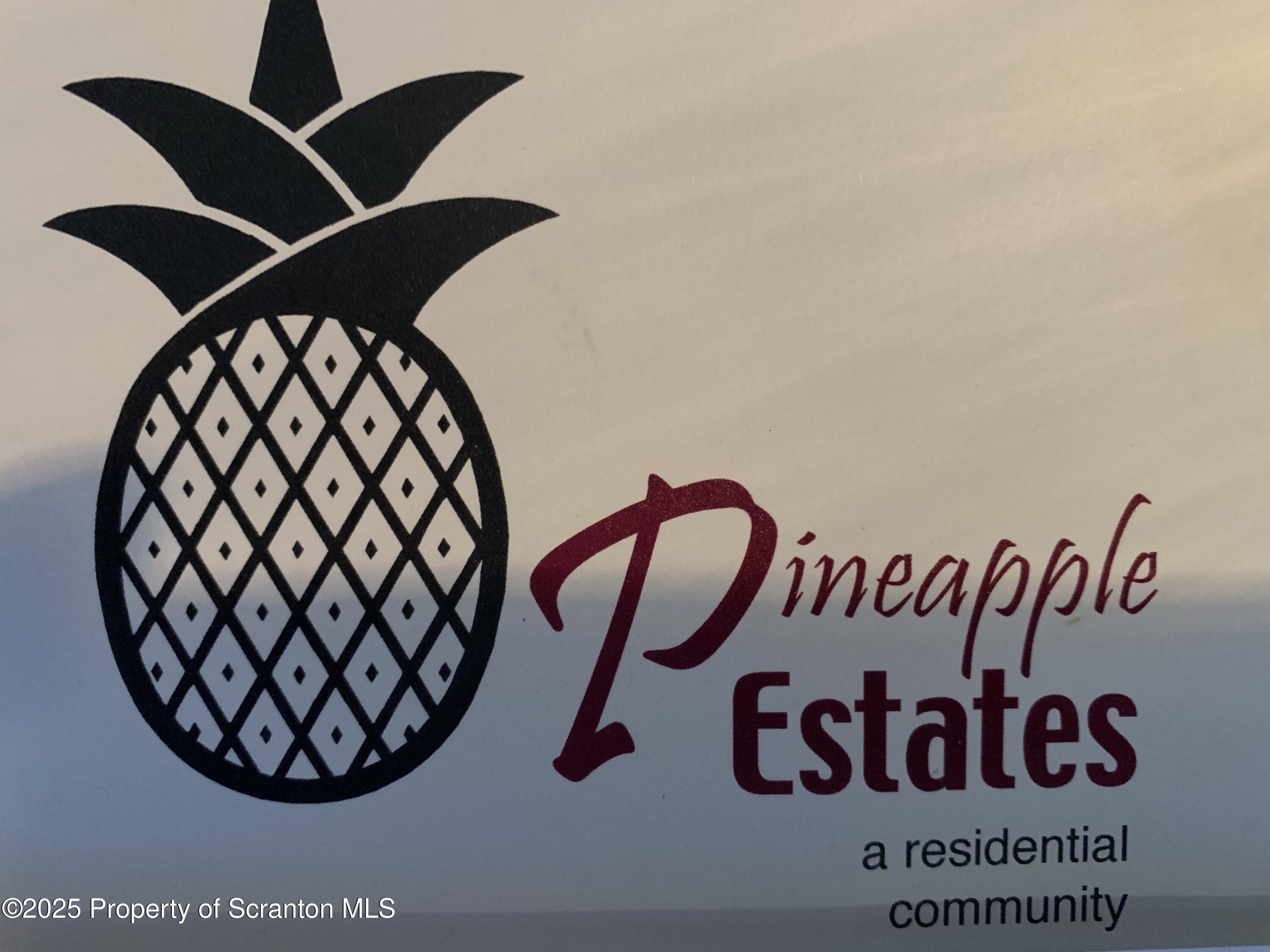 Land in Pineapple Estates, Taylor
