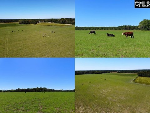 LOTS AND ACREAGE, Hartsville, SC