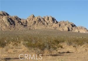 Land, Apple Valley, CA