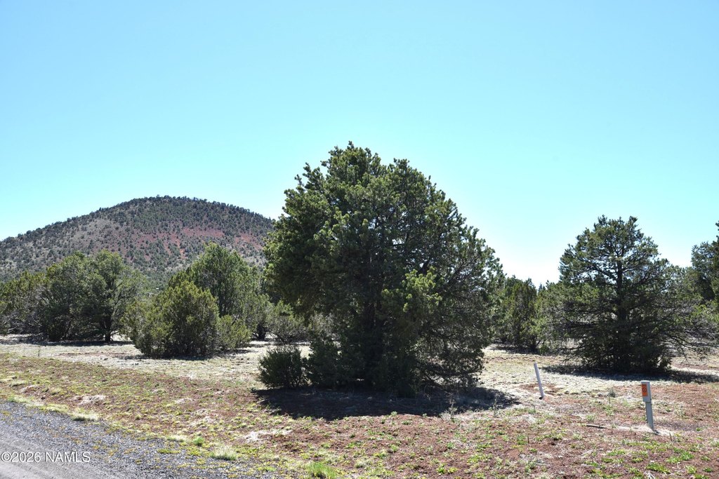 Picture 8