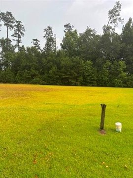 LAND - Hammond, LA