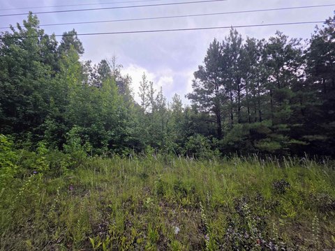 LAND - Pine Bluff, AR