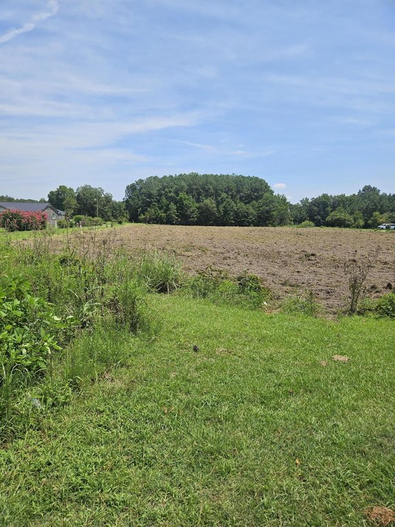 Picture 3