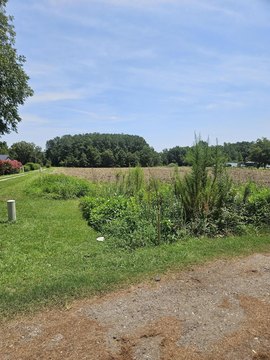 Land, Saint Stephen, SC