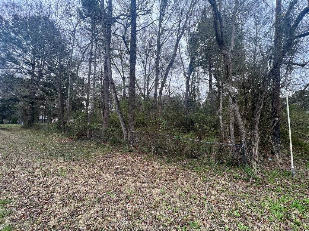 Picture 3