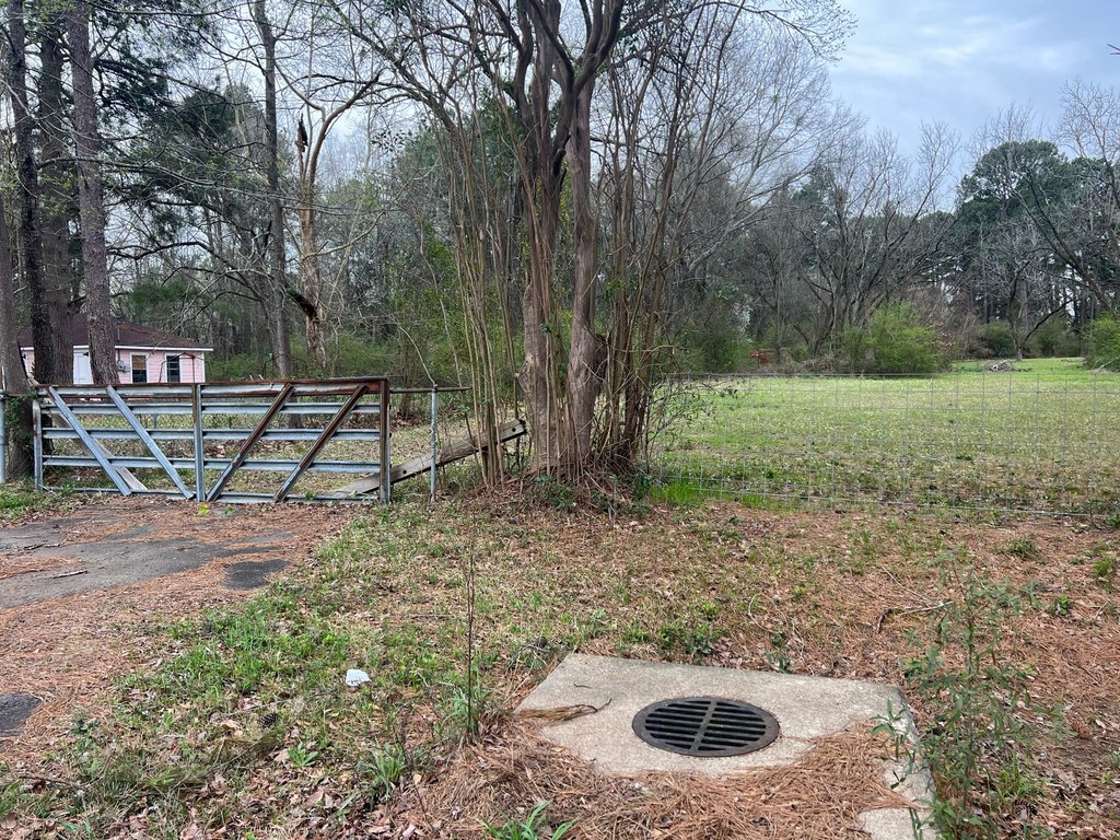 Picture 6