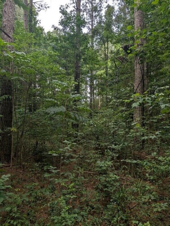 Picture 16