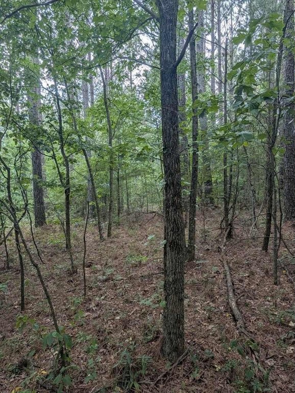Picture 13