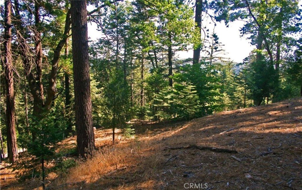 Picture 7