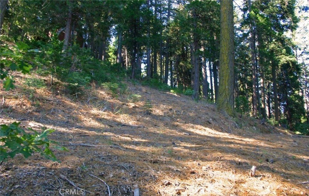 Picture 14