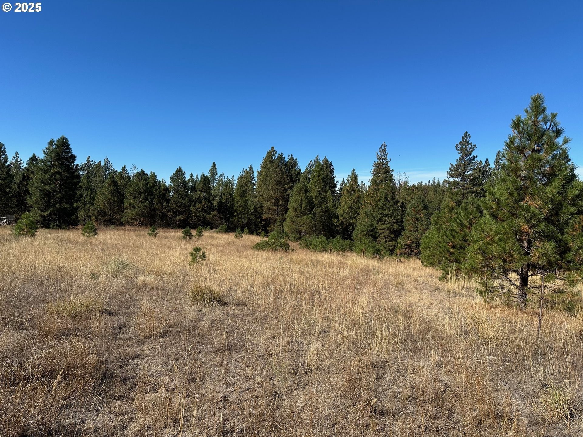 5-Acre Parcel in Goldendale, WA