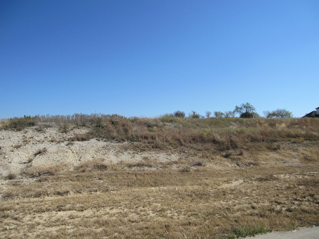 Picture 17