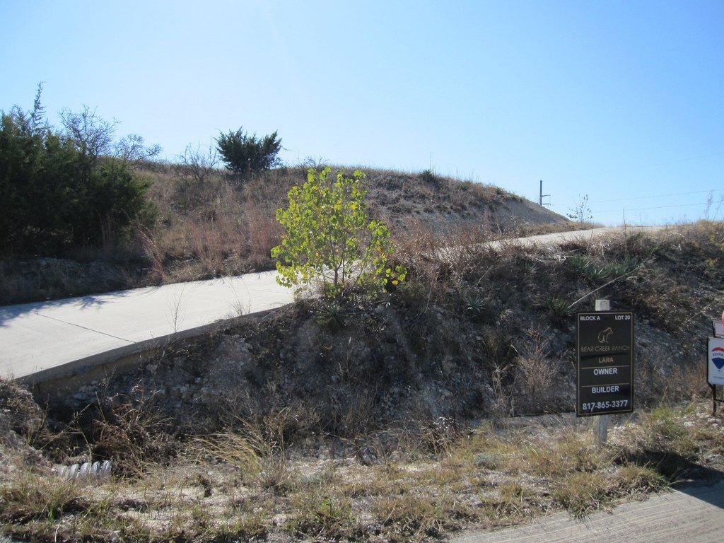 Picture 14