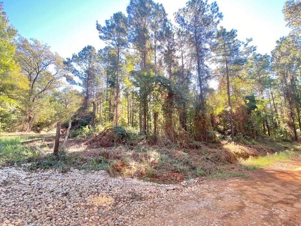 Picture 23