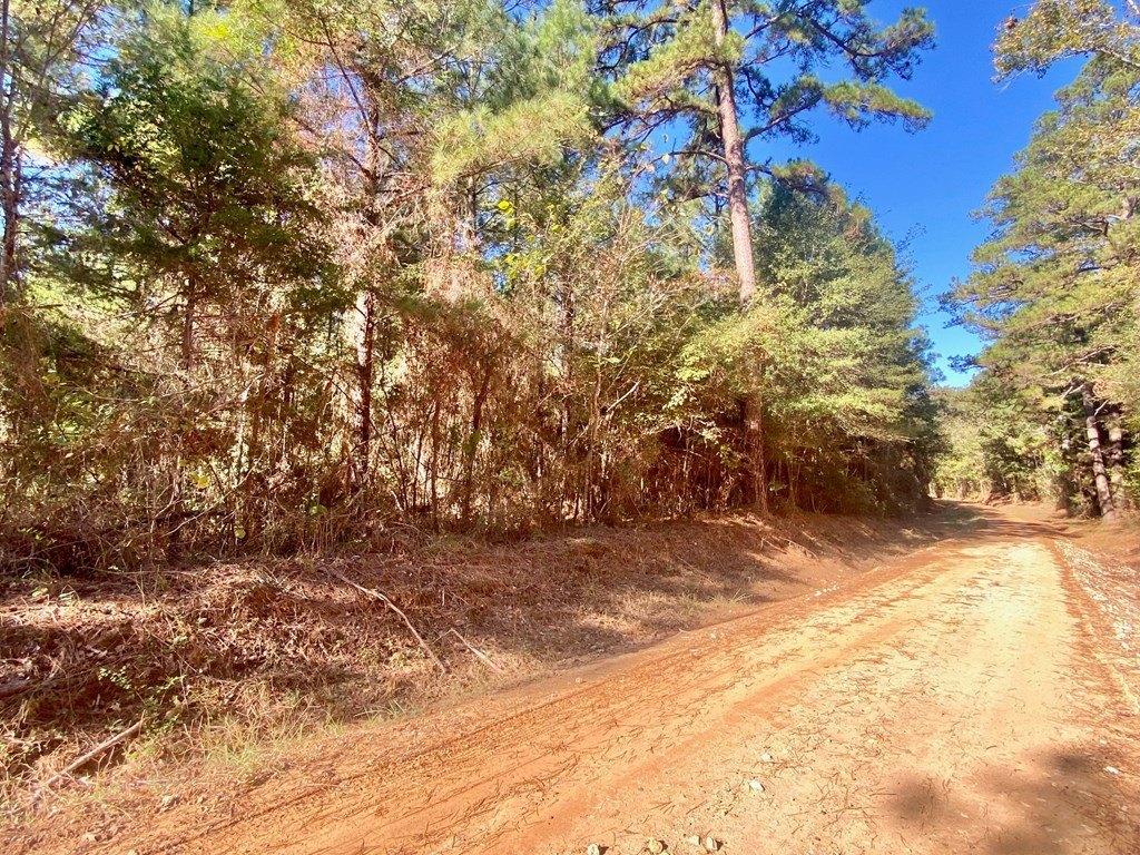 Picture 21