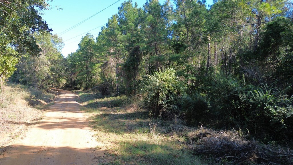 Picture 20