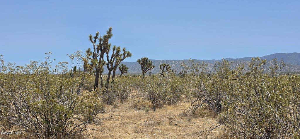 Picture 4