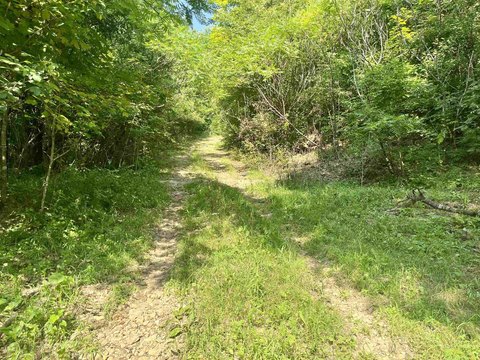 Hunting Land with ATV Trails