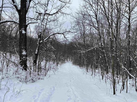 Hunting Ground with Natural Springs