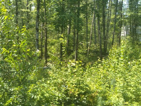 Land, Sanford, ME