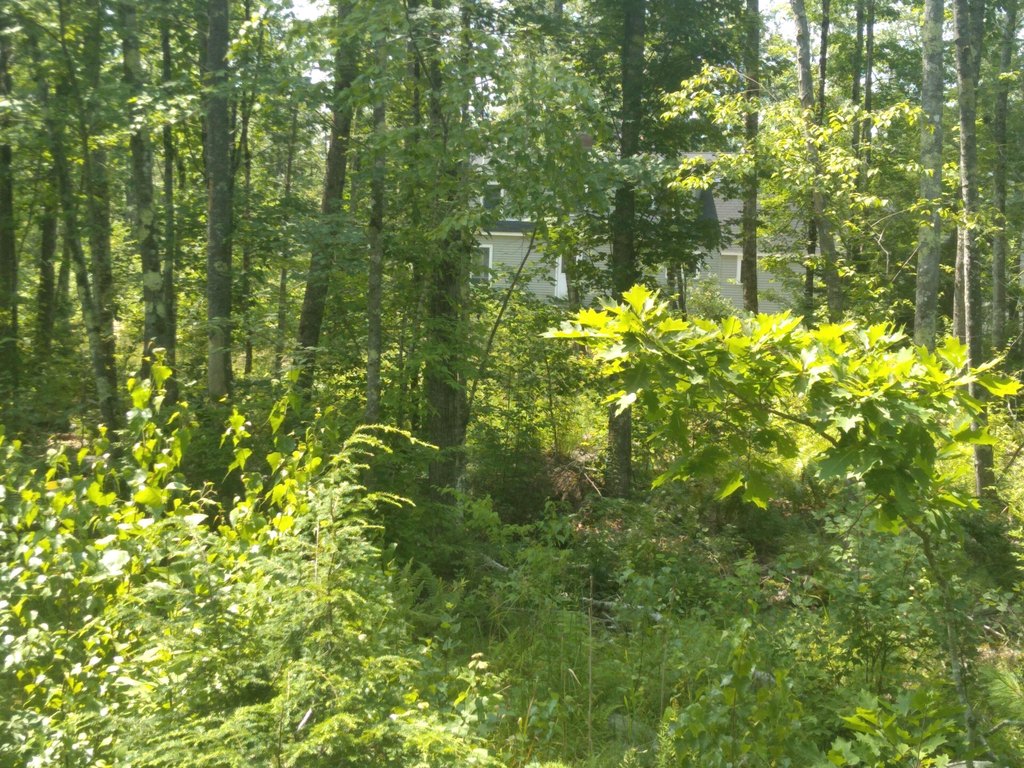 Picture 3