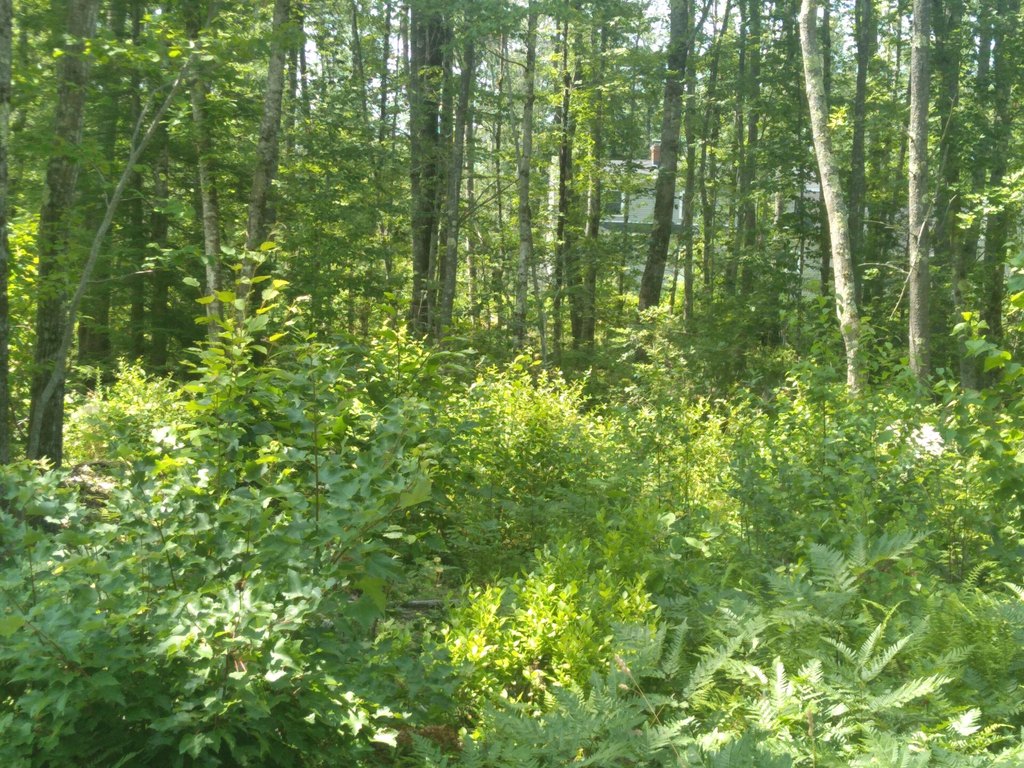 Picture 2