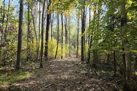 Land, Crandon, WI