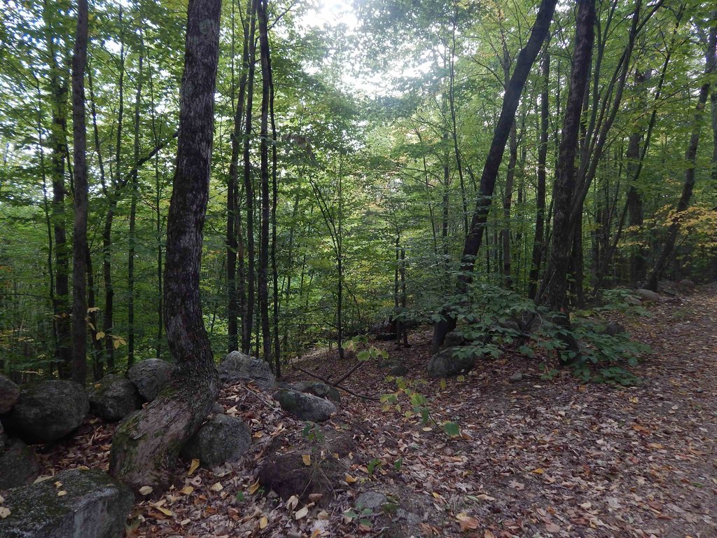Picture 2
