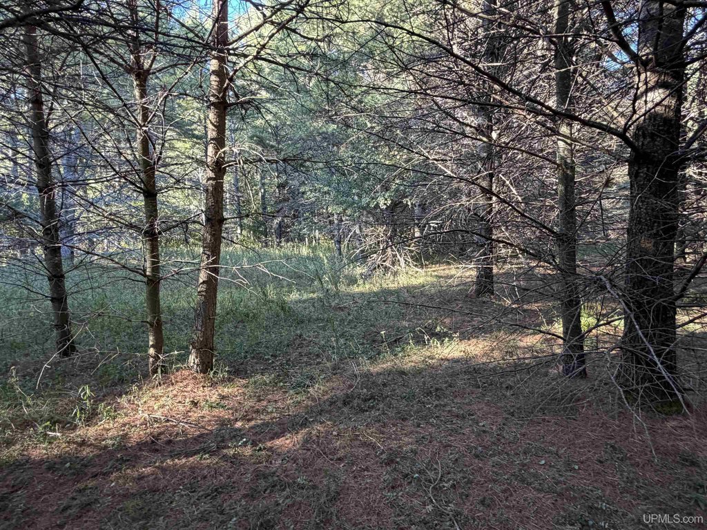 Picture 9