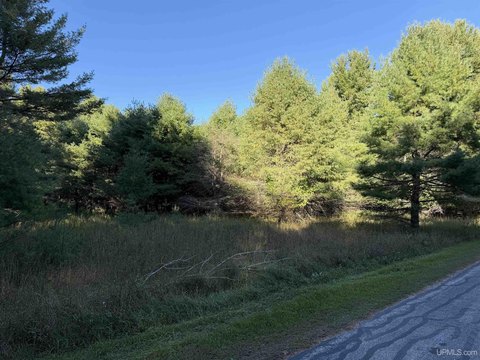 VACANT LAND, Manistique, MI