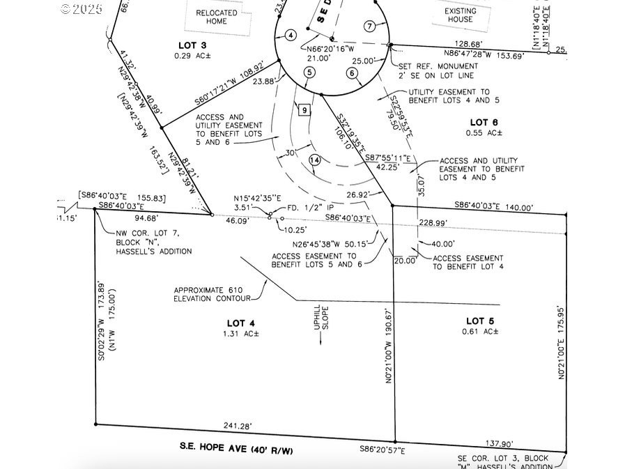 Picture 23