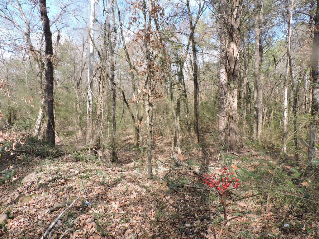 Picture 4