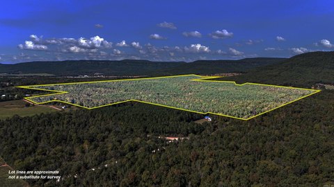 295 Acres Hunter's Paradise Land