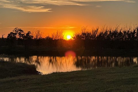 32 Acres of Open Land