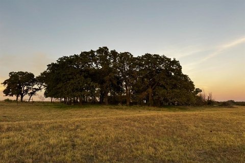 Unrestricted Land Near Whitesboro, TX