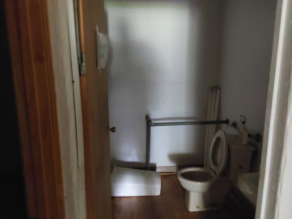 Picture 7