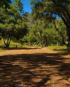 Recreation Land with Canyon Views