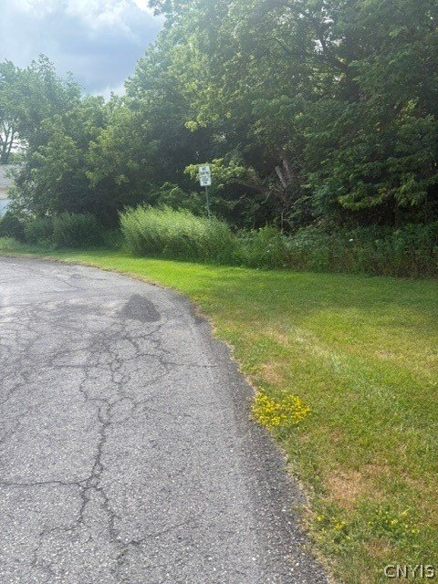 Picture 3