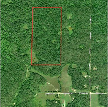 Recreational Hunting Land with Cabin