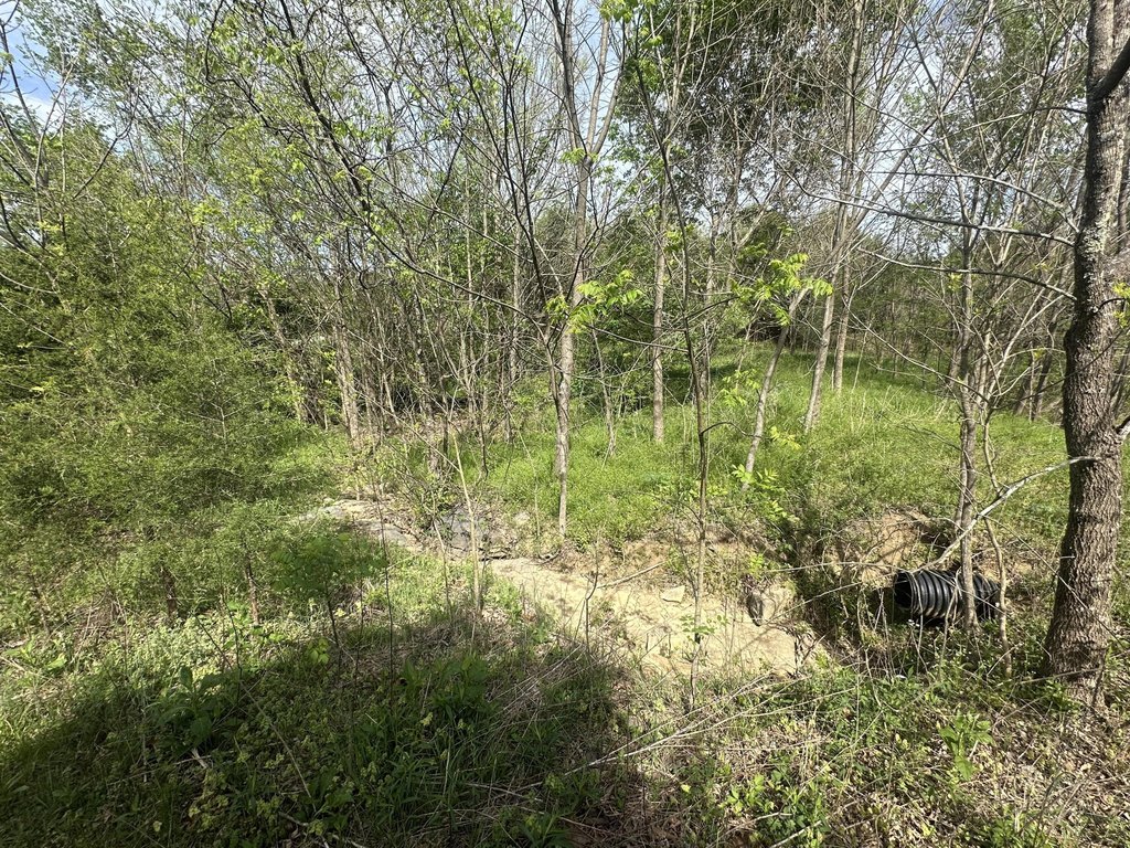 Picture 13