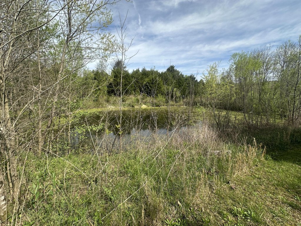 Picture 14