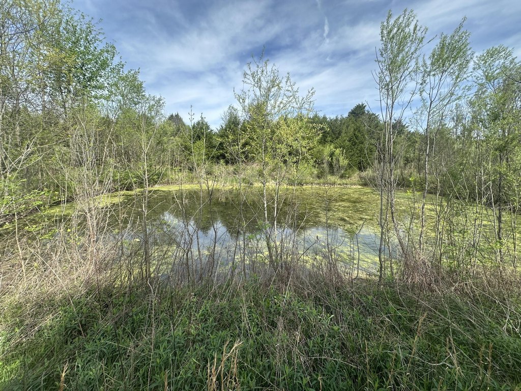 Picture 15