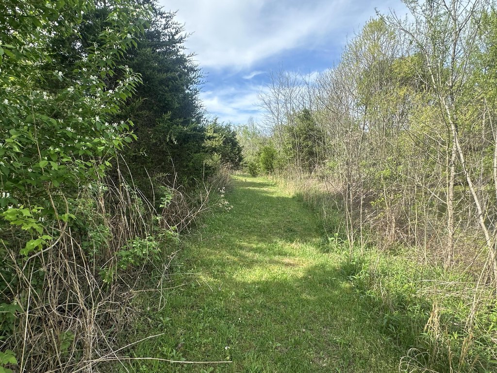 Picture 16