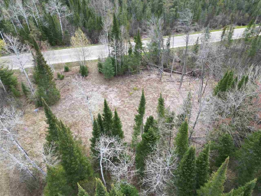 Picture 13